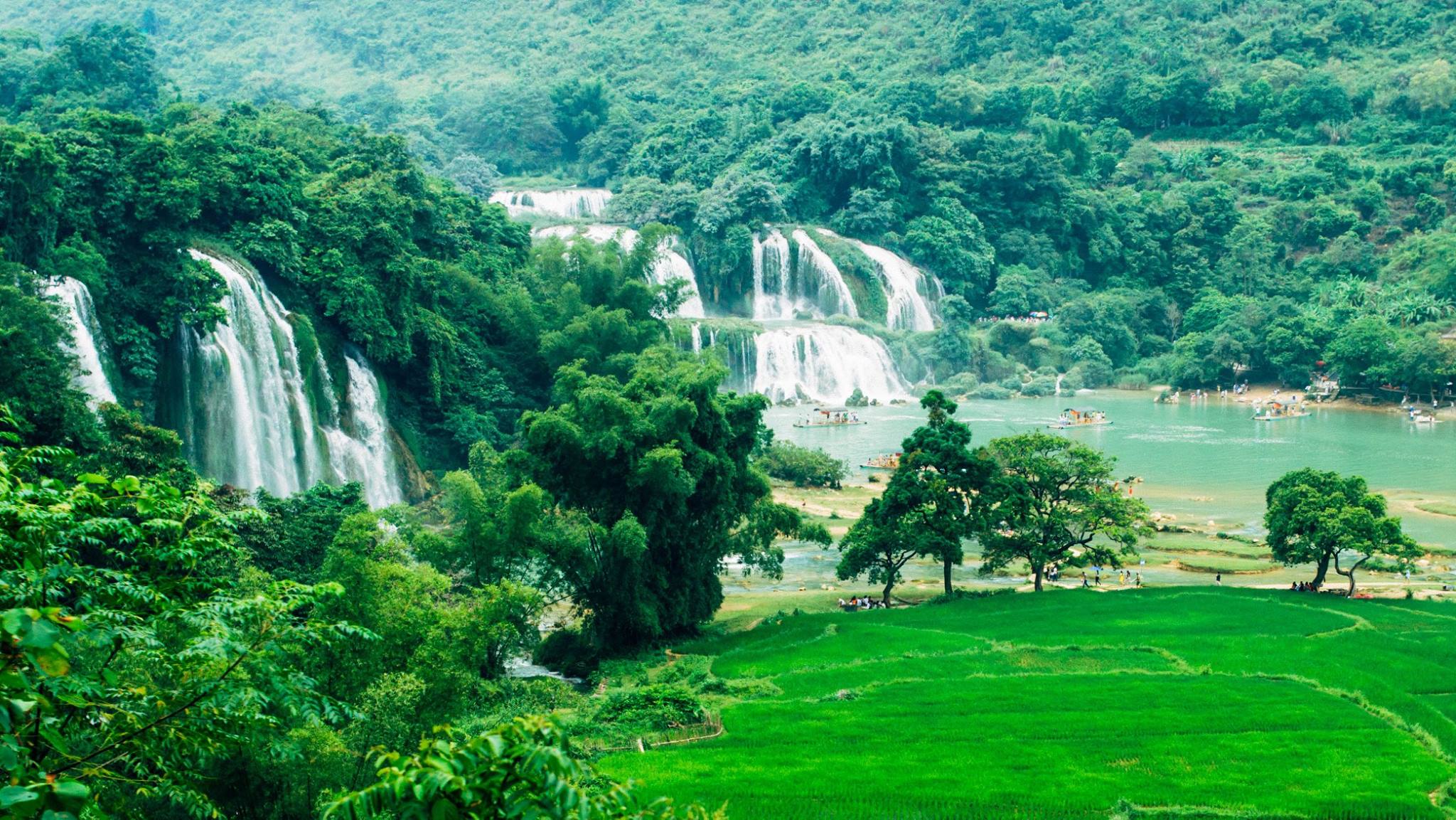 11717470_10153453718080768_7891640918189478300_o