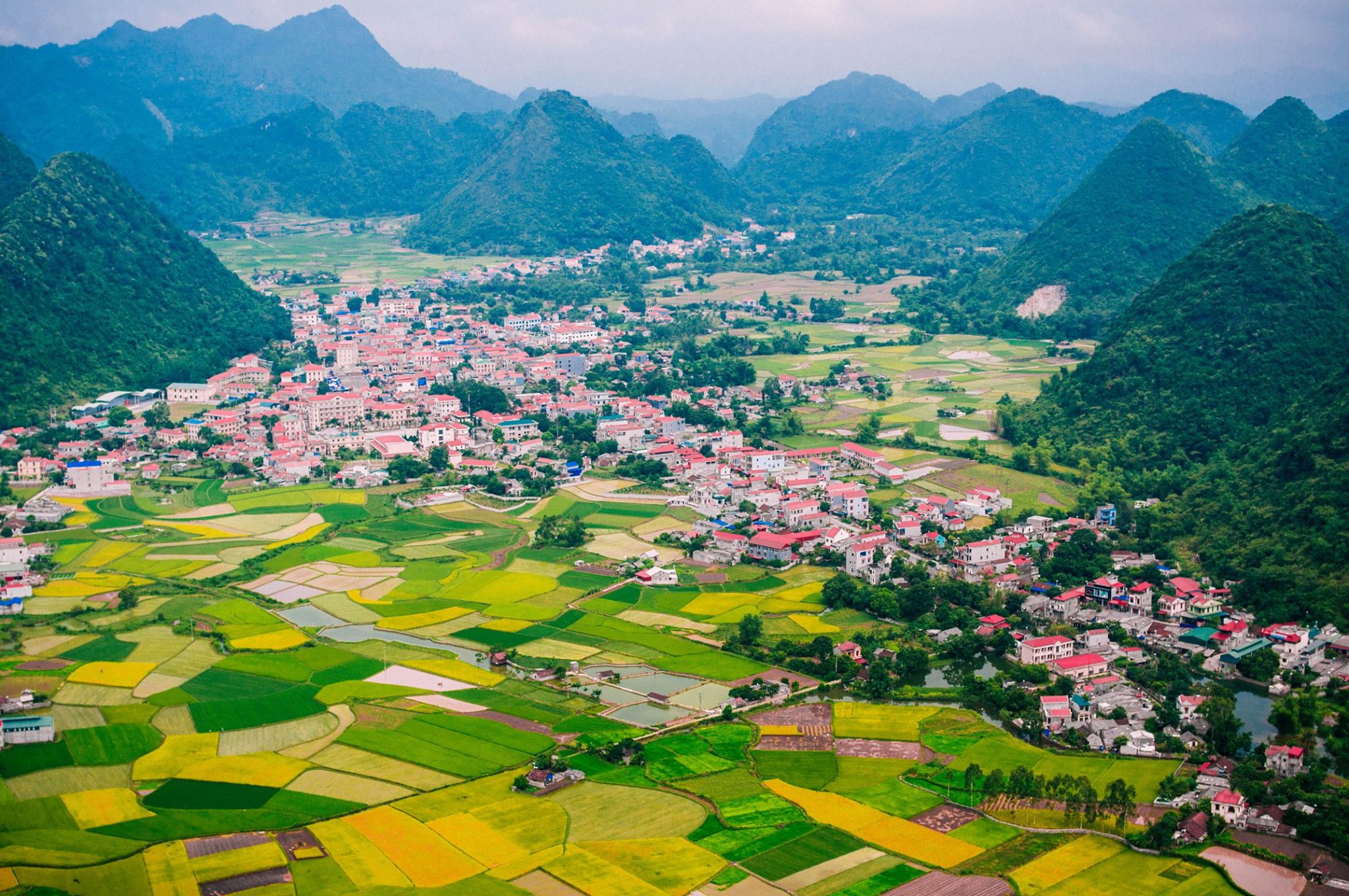 Bắc Sơn mùa gặt