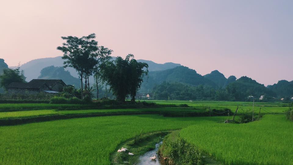 11800500_10153466697605768_459938100810746070_n