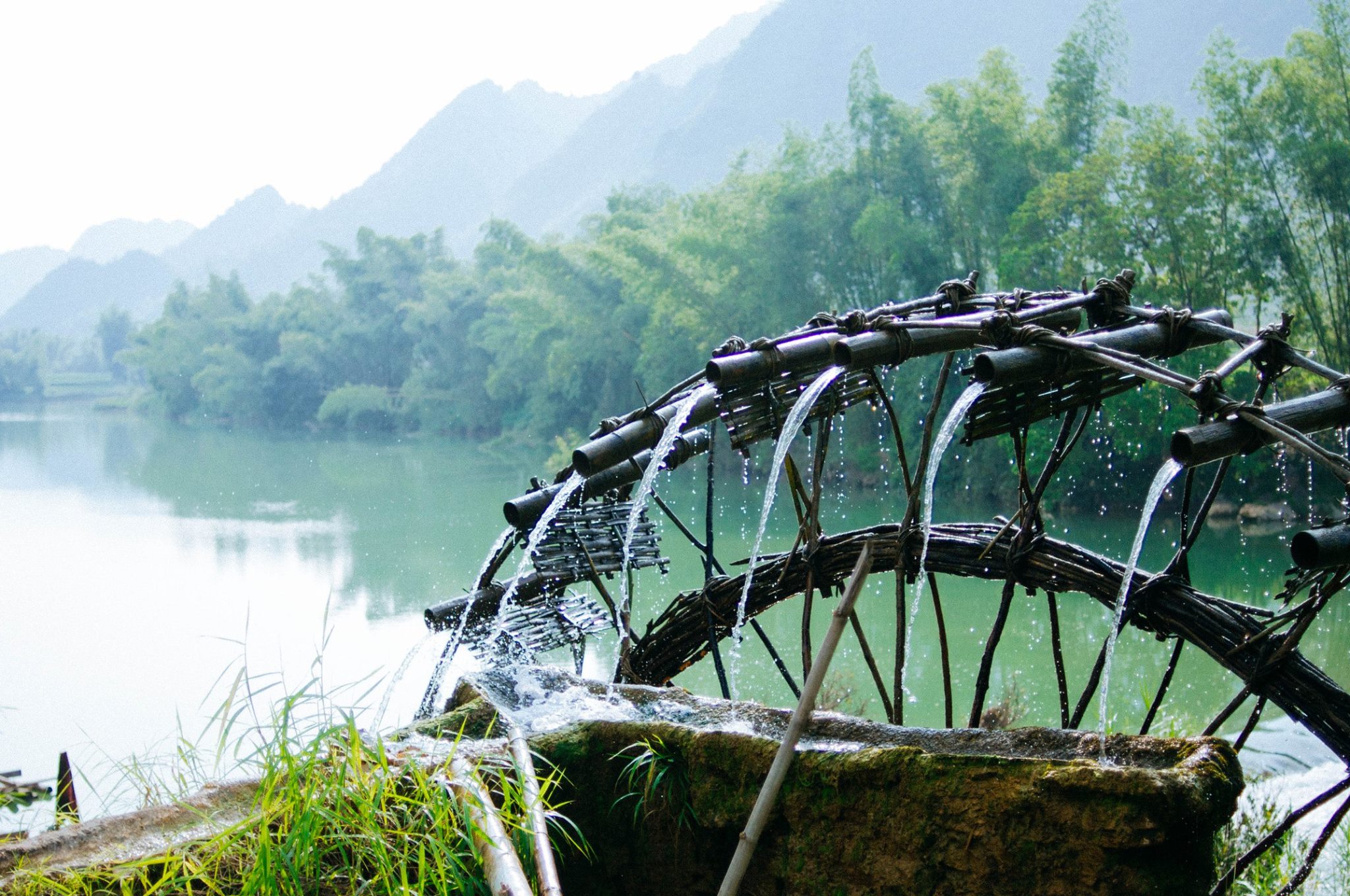 11802609_10153463990920768_8812487455830816397_o